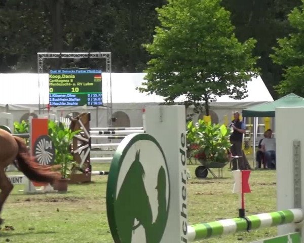 Reitturnier Zobbenitz 2016
