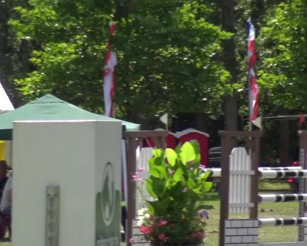 Reitturnier Zobbenitz 2016