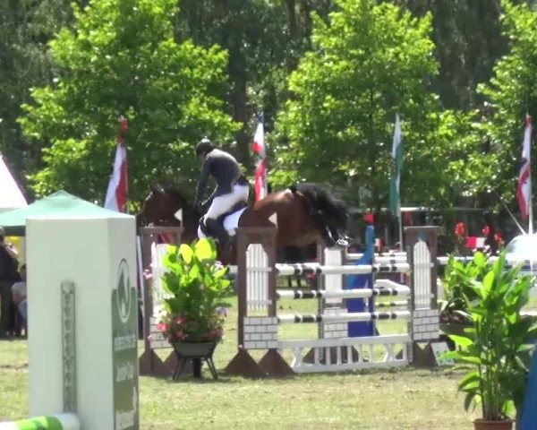 Reitturnier Zobbenitz 2016