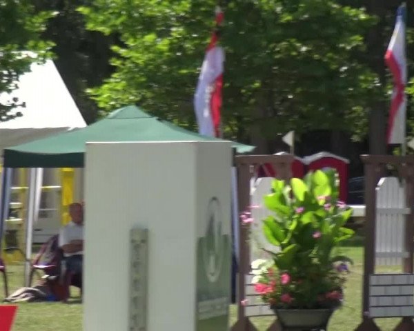 Reitturnier Zobbenitz 2016