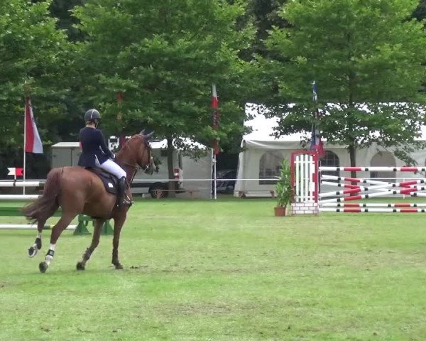 Reitturnier Zobbenitz 2016
