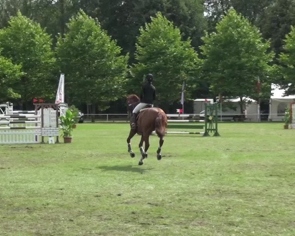 Reitturnier Zobbenitz 2016