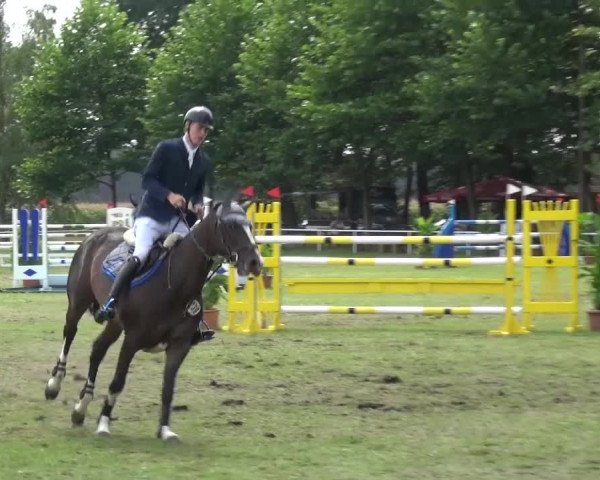 Reitturnier Zobbenitz 2016
