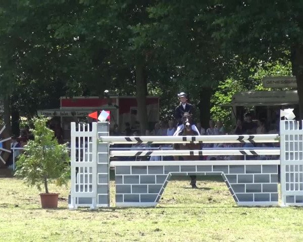 Reitturnier Zobbenitz 2016