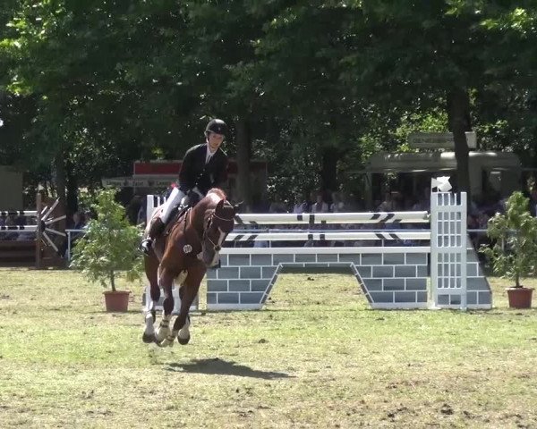 Reitturnier Zobbenitz 2016