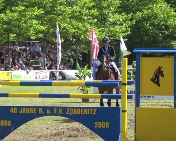 Reitturnier Zobbenitz 2016