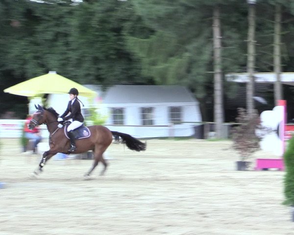 Waltroper Reitertage 2016