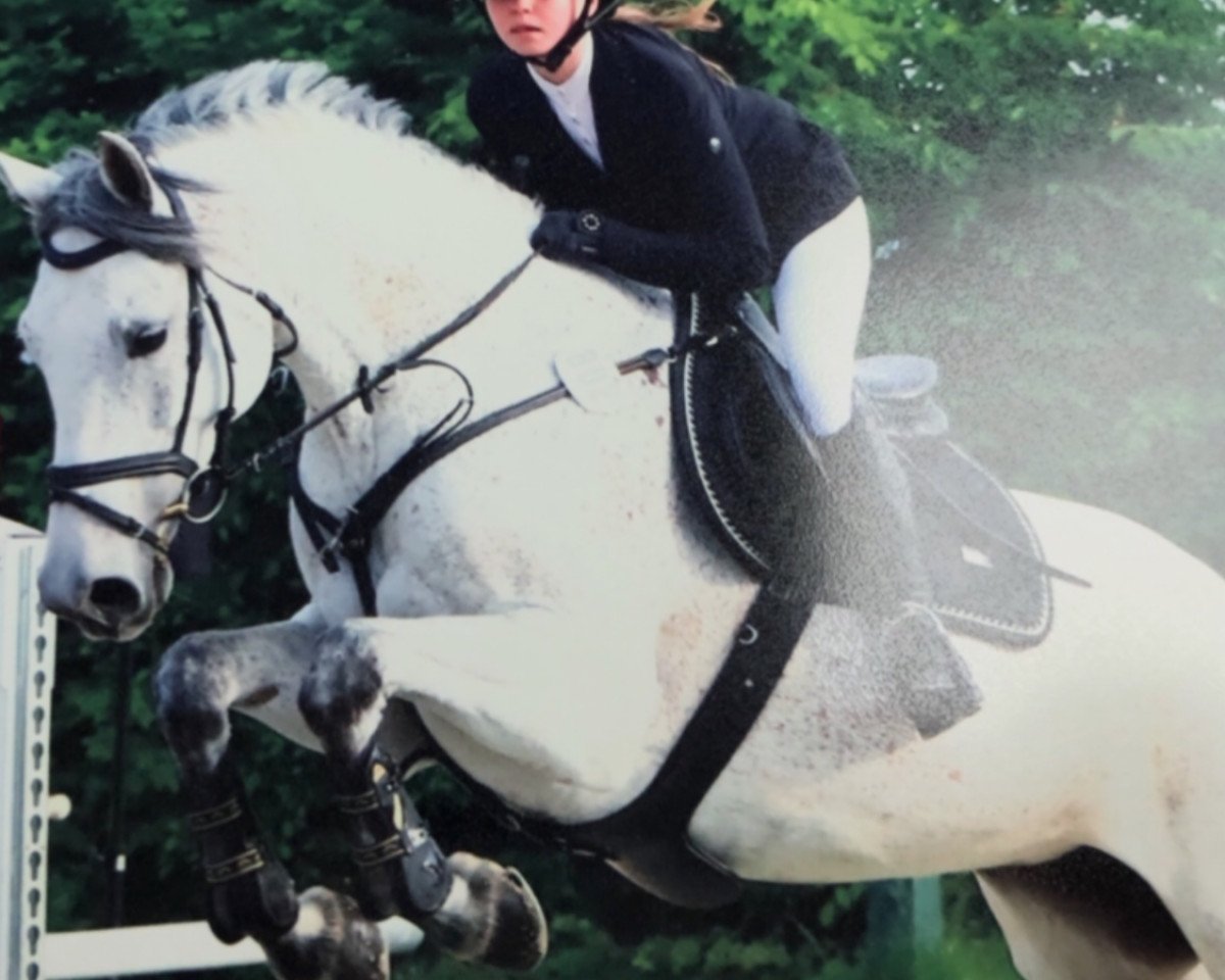 Zuchtstute Ultrafly (KWPN (Niederländisches Warmblut), 2010, von Up To Date)