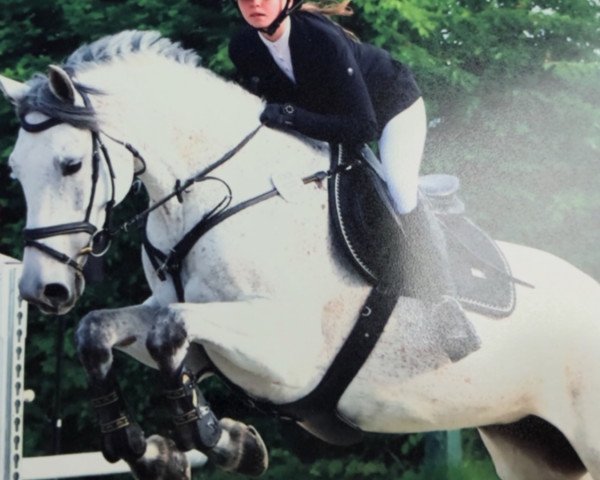 broodmare Ultrafly (KWPN (Royal Dutch Sporthorse), 2010, from Up To Date)