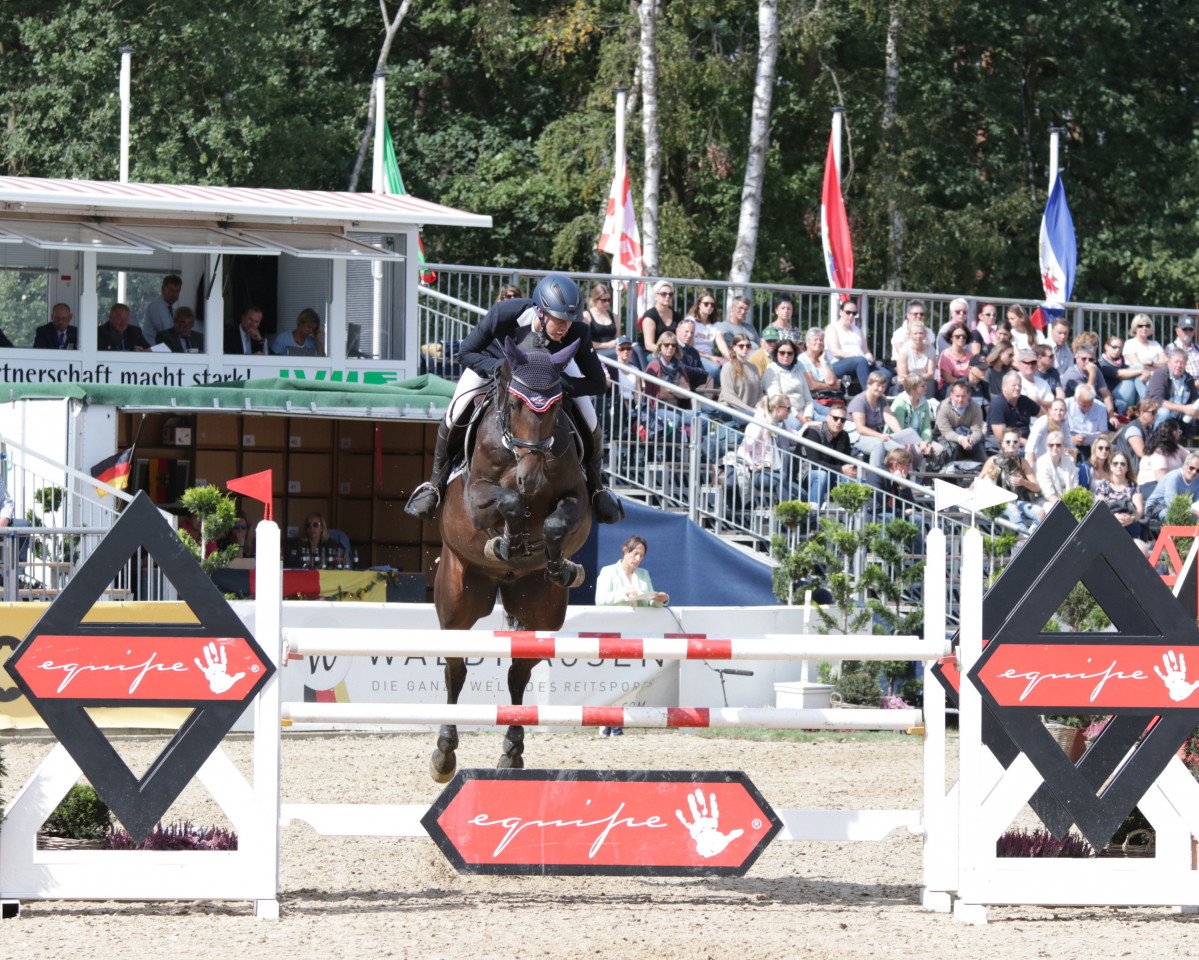 Cavallo da salto Cool Limit Rn (Holsteiner, 2014, di Cormint)