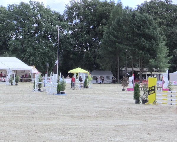 Waltroper Reitertage 2016