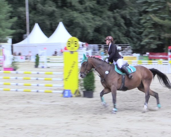 Waltroper Reitertage 2016