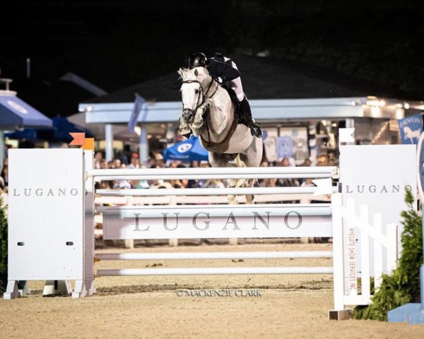 jumper Country Boy (Oldenburg show jumper, 2009, from Carry Best)