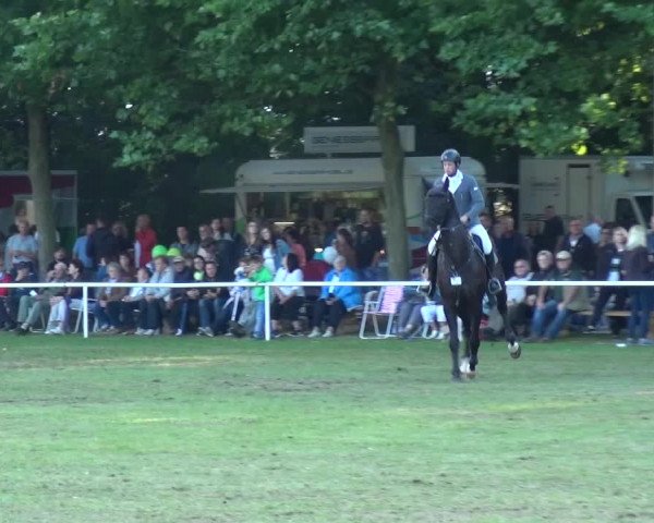 Reitturnier Zobbenitz 2016