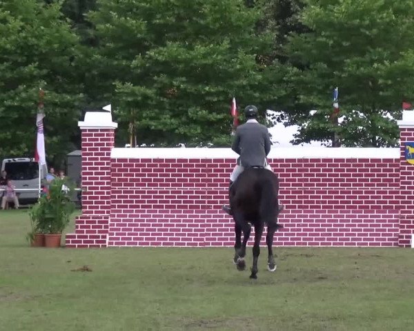 Reitturnier Zobbenitz 2016
