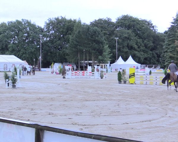 Waltroper Reitertage 2016
