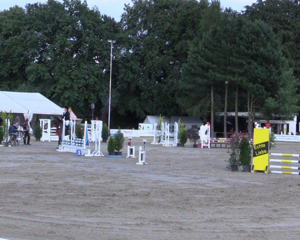 Waltroper Reitertage 2016