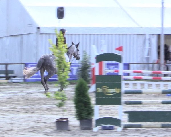 Waltroper Reitertage 2016