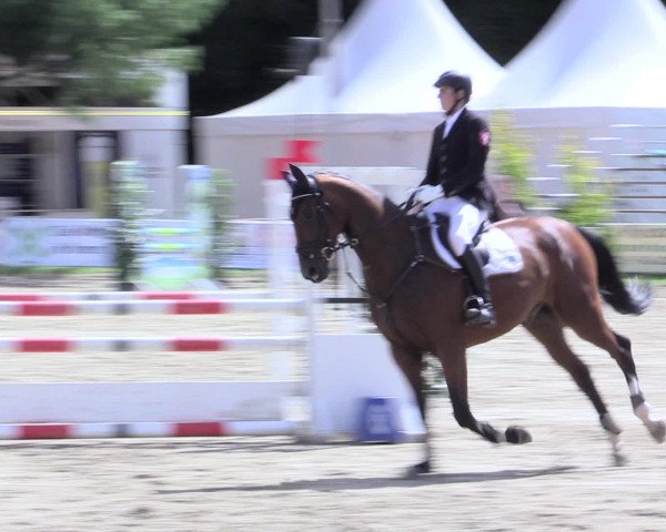 Waltroper Reitertage 2016