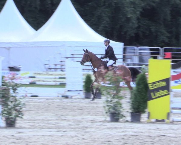 Waltroper Reitertage 2016