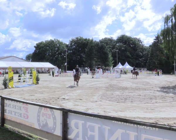 Waltroper Reitertage 2016