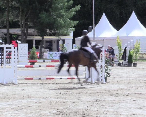 Waltroper Reitertage 2016