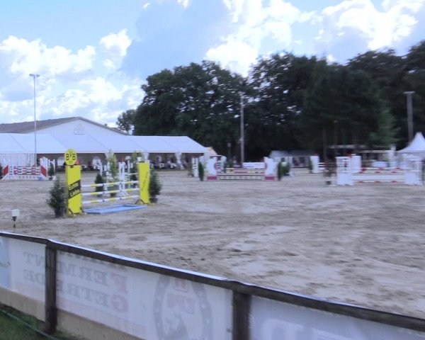 Waltroper Reitertage 2016