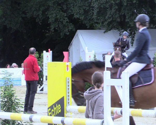 Waltroper Reitertage 2016