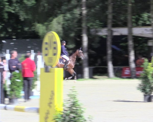 Waltroper Reitertage 2016