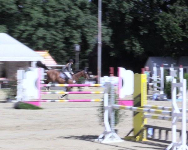 Waltroper Reitertage 2016