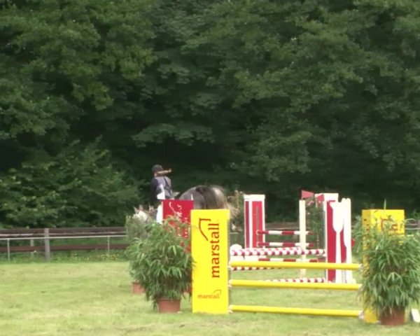 Reitturnier Hamburg-Friedrichshulde 2016