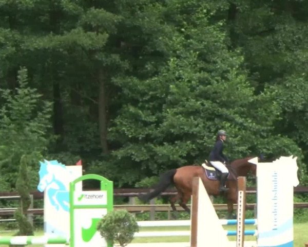 Reitturnier Hamburg-Friedrichshulde 2016