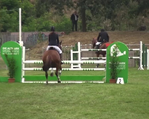 Reitturnier Gardelegen 2016