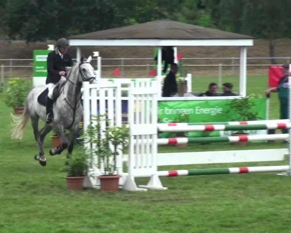 Reitturnier Gardelegen 2016