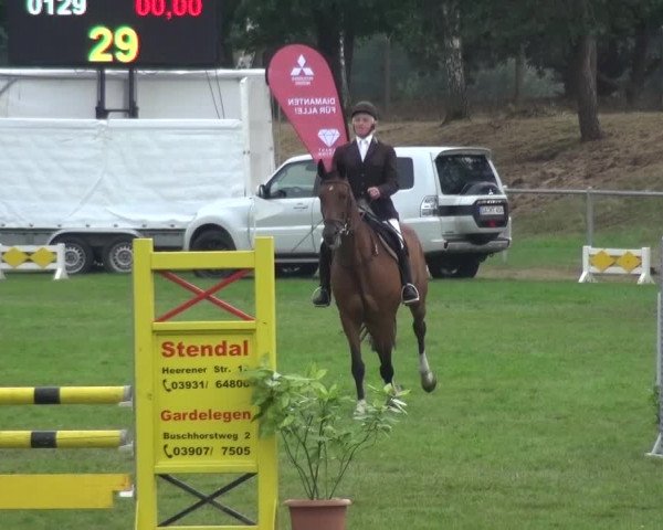 Reitturnier Gardelegen 2016