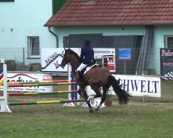 Reitturnier Gardelegen 2016