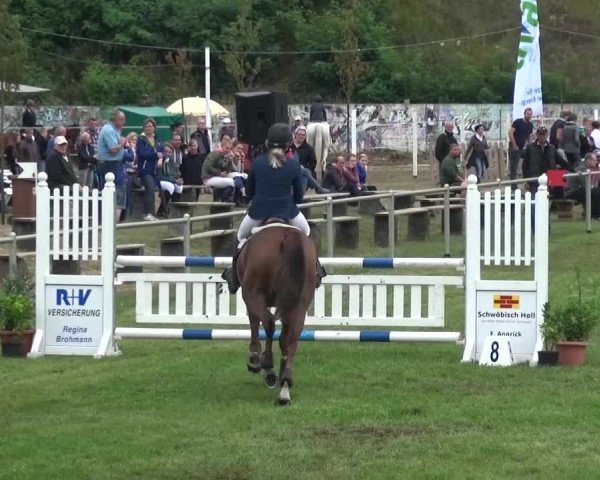 Reitturnier Gardelegen 2016
