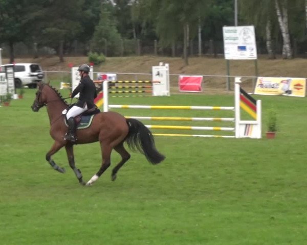 Reitturnier Gardelegen 2016
