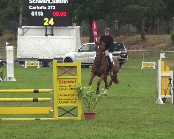 Reitturnier Gardelegen 2016
