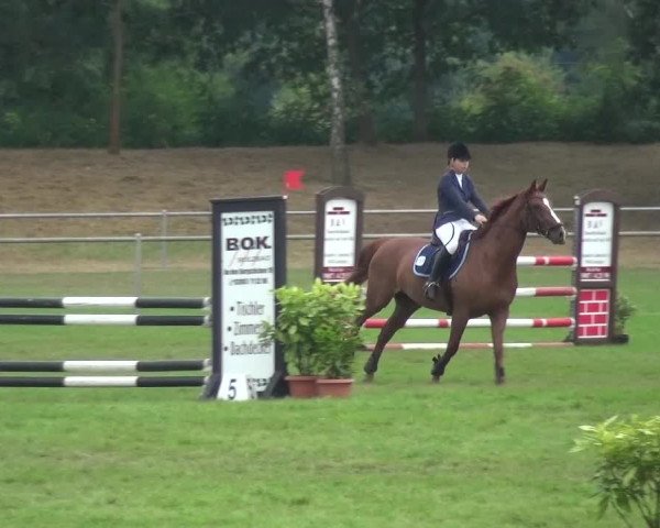 Reitturnier Gardelegen 2016