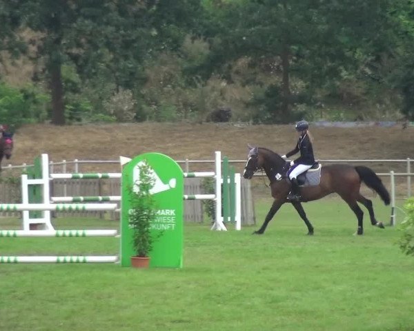 Reitturnier Gardelegen 2016