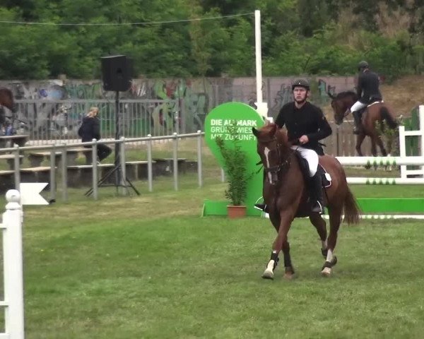 Reitturnier Gardelegen 2016