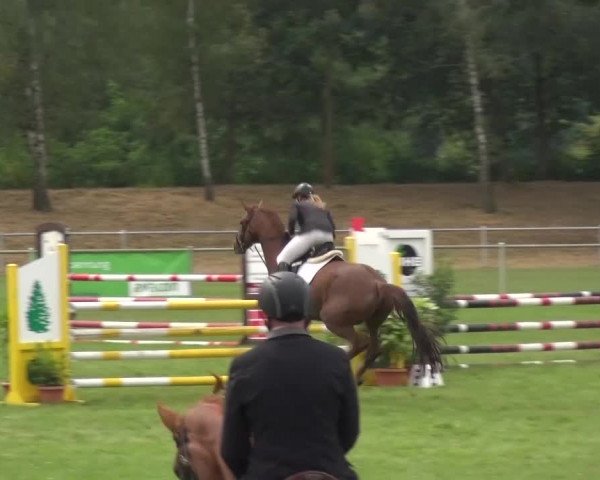 Reitturnier Gardelegen 2016