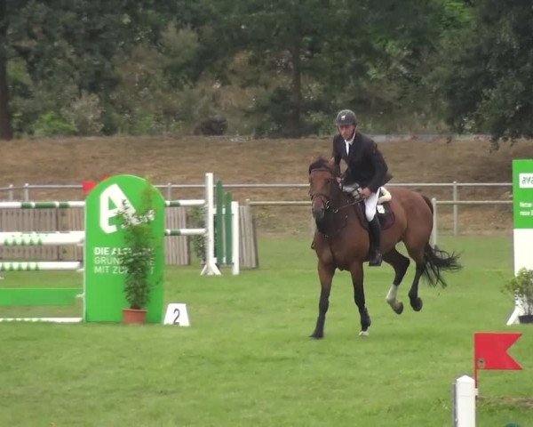 Reitturnier Gardelegen 2016