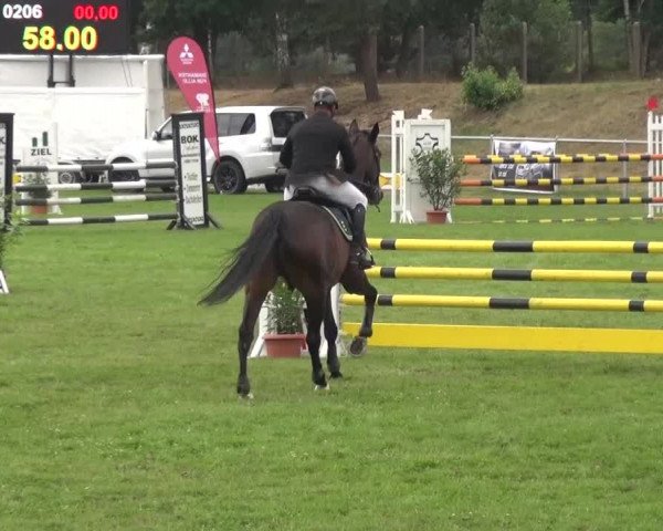 Reitturnier Gardelegen 2016