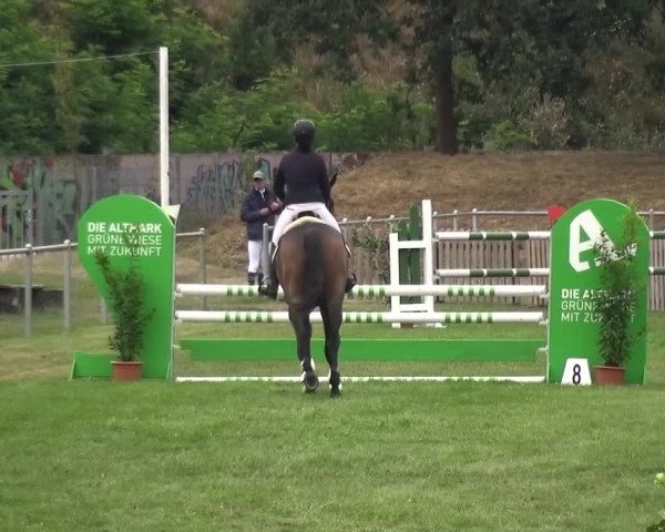 Reitturnier Gardelegen 2016
