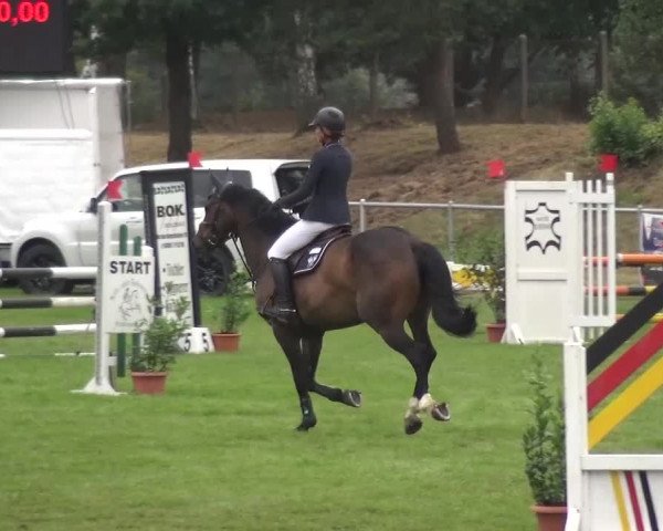 Reitturnier Gardelegen 2016