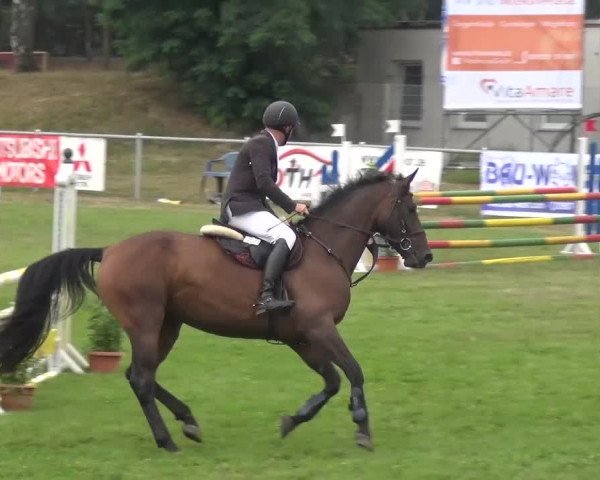 Reitturnier Gardelegen 2016