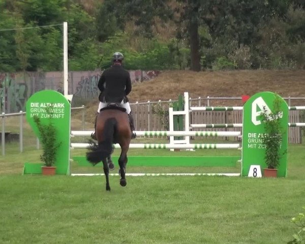 Reitturnier Gardelegen 2016
