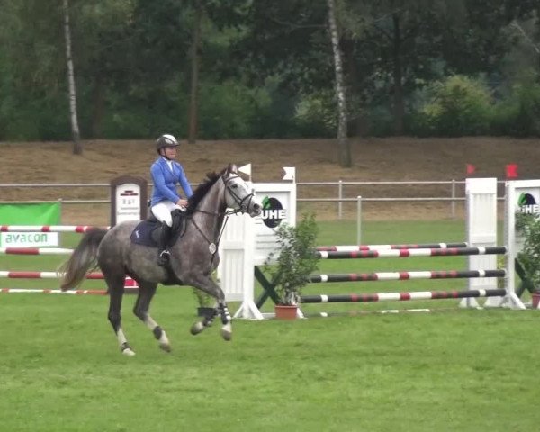 Reitturnier Gardelegen 2016